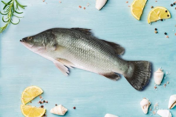 Kalanji Fish